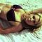 [ID: 67hoTLwBlgs] Youtube Automatic