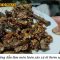 Làm món lươn xào xả ớt | Quynh Cooking
