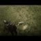 Lata Duck #reddeadredemption