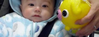 [ID: aqyGUfeaHIg] Youtube Automatic