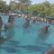 Pool Party | GoPro