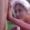 Aboriginal Life Live in the Amazon Forest