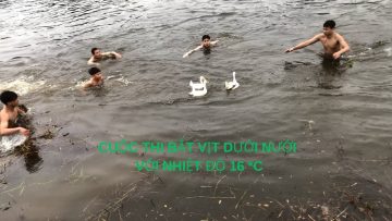 [ID: bPqa3hl02Vw] Youtube Automatic