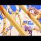 Tentacle Beach Attack!!!!!!