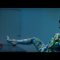 Cardi B – Press [Official Music Video]
