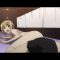 [ID: Cz99kJa9CVE] Youtube Automatic