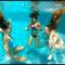 GoPro Summer | Daisy Lane