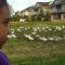 Look at all those…