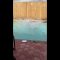 Underwater fun!