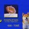 Call 1800 Tobë ( Bread Ad )