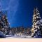 Christmas music, Christmas instrumental Music,  “Let It Snow” by Tim Janis