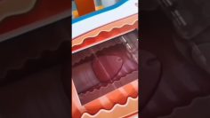 [ID: HdDiuG6r9Eo] Youtube Automatic