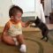 TODDLER VS KITTEN