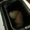 musical bread machine