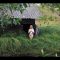 NUDE Photography. Expedition to the heart of Russia.