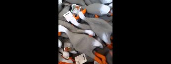 [ID: nHc288IPFzk] Youtube Automatic
