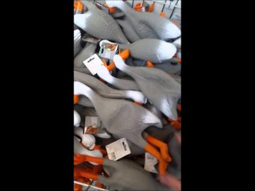 [ID: nHc288IPFzk] Youtube Automatic