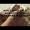 National Yorkshire Pudding & No Bra Day
