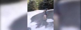 [ID: oeb5LdAyLC8] Youtube Automatic