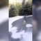 [ID: oeb5LdAyLC8] Youtube Automatic