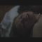 [ID: owY2nif9kqc] Youtube Automatic