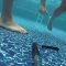 Gopro Hero 3: Pool Time