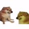 doge doggo owie bonk