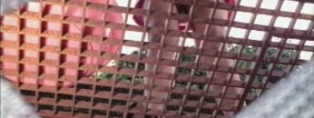 [ID: tUYSk5rS0nY] Youtube Automatic