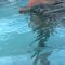 Underwater Funtime