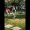 Segway fail (funny) || Viral World