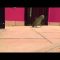 [ID: -_v7X9tWO5s] Youtube Automatic