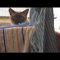 [ID: Veg63B8ofnQ] Youtube Automatic