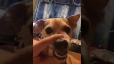 [ID: x9XEArjH_pY] Youtube Automatic