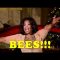BEES!!!