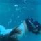 ~Swimming With Bonsta Bear~ (Episode 1) *Go Pro*