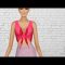 micro bikini Try on hual|Lingerie Try on hual|transparent bikini try on hual#bikini #lingerie #micro